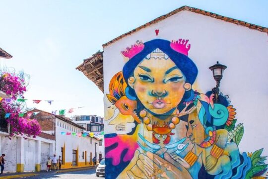 Puerto Vallarta Private Art Tour