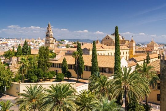 Seville’s Royal & Gothic Splendors Tour