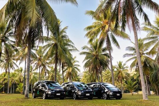Port Douglas to Palm Cove (ONE WAY) Private Transfer 1 to 6 Pax