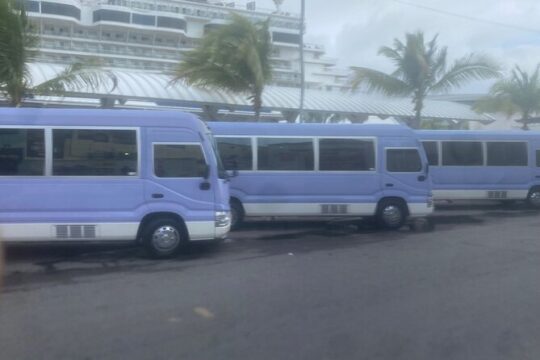Private Sightseeing Tour Around Nassau by Bus