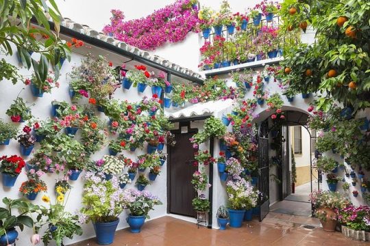 Private Tour: the Courtyards of Cordoba