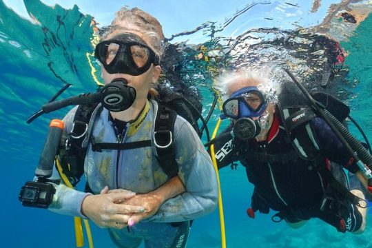 Private 1st diving license course in Tenerife