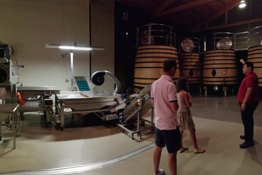 Visit a winery in Rioja