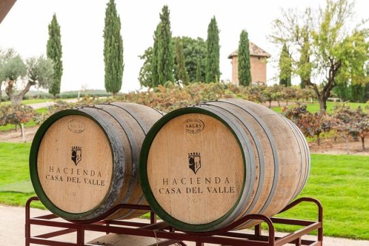 Full Day Private Excursion to Toledo with a Premium Winery Visit