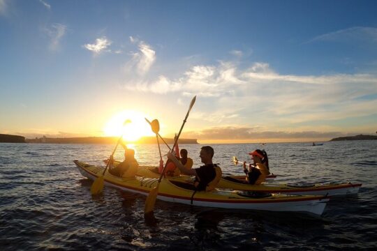 Beautiful Middle Harbour Sunriser / Guided Kayaking Private Tour