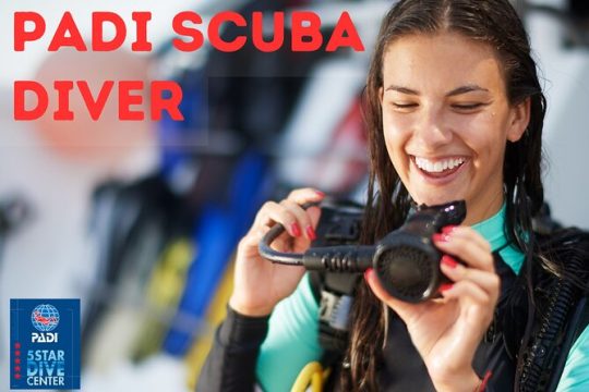 PADI Scuba Dive Course in Costa Adeje