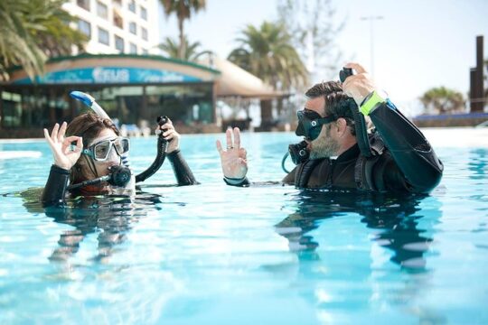 Try Scuba Diving Experience: Sydney