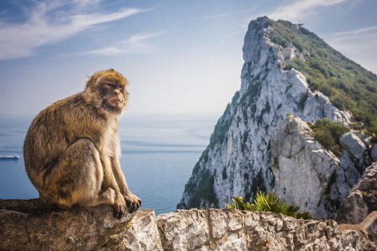 *Private Day Trip* Gibraltar and Vejer from Jerez