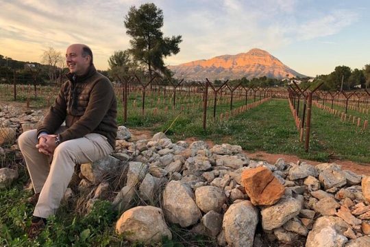 Sunset among Vineyards with Tasting in Alicante (min 6-12 people)