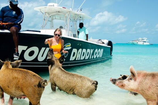 Swimming Pigs Water Taxi Nassau, Bahamas
