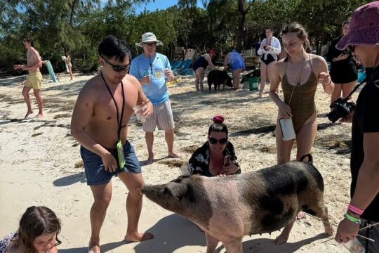 Nassau (:) Swimming with Pigs, turtles , snorkeling, Harbour Tour