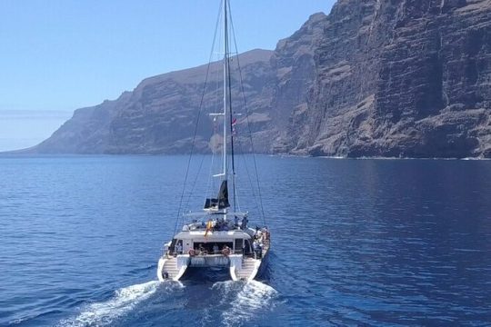Whale Watching Catamaran to Los Gigantes & Masca (Including drinks & warm lunch)
