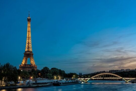 Seine Dinner Cruise and Eiffel Tower Summit Private Tour