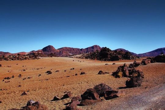Private 8 hours Tour to El Teide from Tenerife Hotel with driver/guide