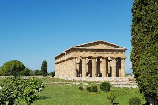 Paestum and Pompeii- Full day tour from Rome