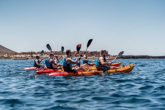 Kayak safari & Snorkel