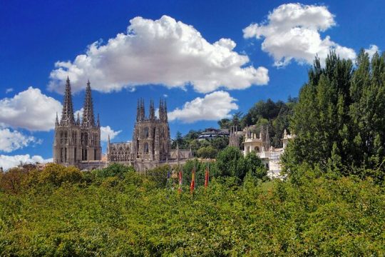 Full-Day Private Tour in Burgos from Madrid with Pick Up