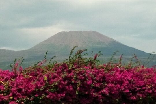 Pompeii SkipTheLine and Mt Vesuvius with Lunch&WineTasting from Rome