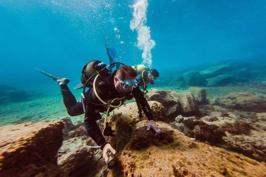 Eco Adapted Diving in Tenerife