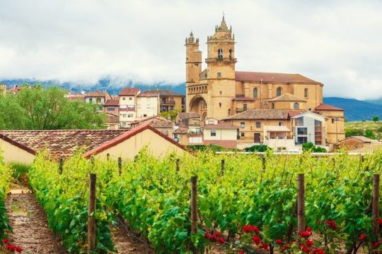 La Rioja Private Tour + Logroño Tapas & Wine Tasting from Bilbao