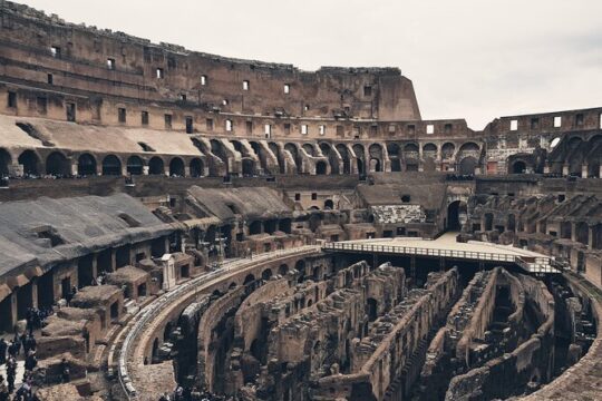 Colosseum, Roman Forum and Palatine Hill Guided Tour