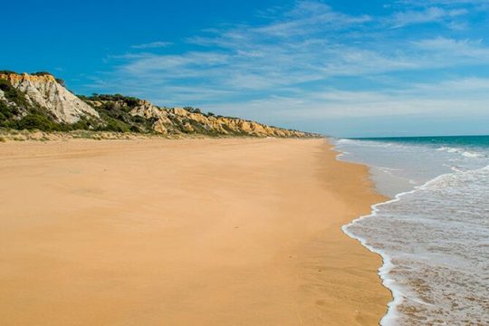 Excursion to the beaches of Huelva from Seville - Private tour