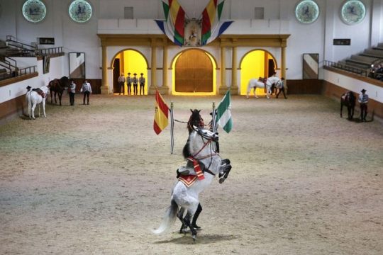 Equestrian Show and Winery in Jerez from Seville