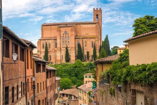 From Rome: Exploring Culture, Wine, and Food in Tuscany