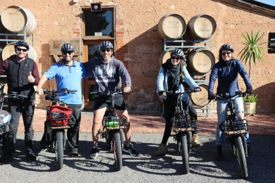 Best of McLaren Vale: E-bike and Wine Tour (2 options available)