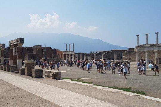 Pompeii excavation tour visiting Naples, full day from Rome
