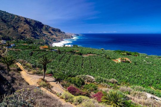 Tenerife North Private Tour: Through Villages and Ports