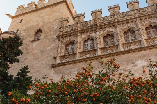 Private 3 hours Walking Tour in Valencia City