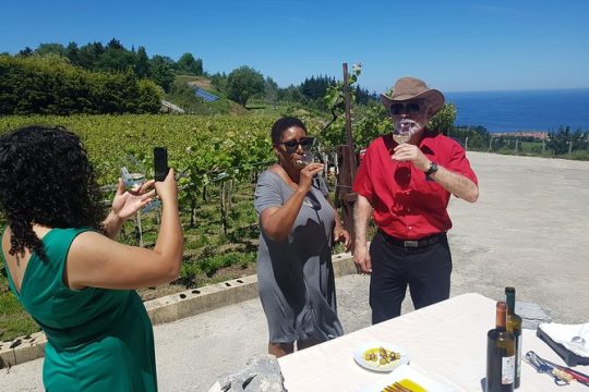 Txakoli Winery Tour through the Coast from San Sebastian