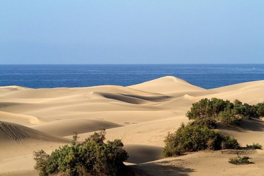 Private 5-hour Tour of Maspalomas with Optional 30 minutes Camel Ride
