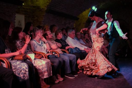 1 Hour Premium Flamenco Show in XII century Arabian Vault
