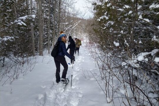 Private Nottawasaga Bluffs Caves Snowshoe Tour,Collingwd/Creemore