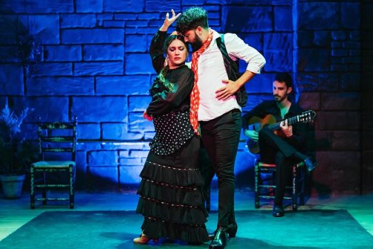 The mysteries of Flamenco: Tour and Live Show In Seville & Drinks