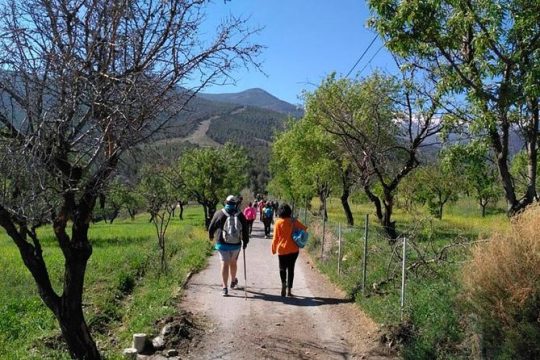 Sierra de Aracena: Grotto of Wonders, hiking and ecological picnic.