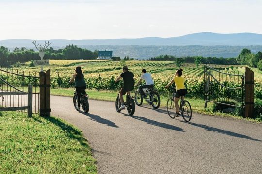 Quebec City : Guided E-bike food Tour on Ile d'Orleans