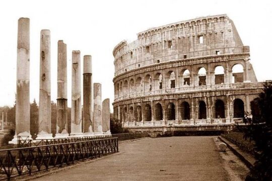 Premium Colosseum, Palatine Hill & Roman Forum Private Tour
