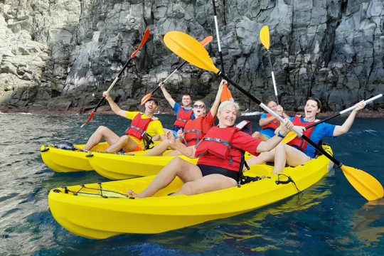 Kayak with Dolphin & Turtle Watching Private Tour