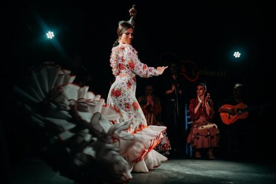 Madrid Flamenco Tour with Wine & Tapas