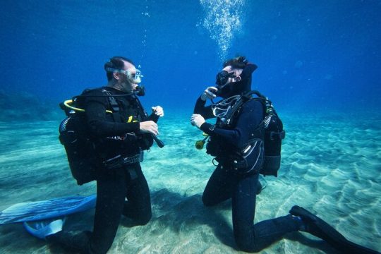 Private Scubadiving with Professional Instructor, photos included