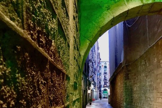 Explore hidden streets of Barcelona with a local - Private Tour