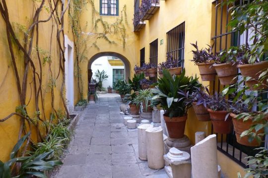 Tour of the Barrio de Santa Cruz and the Jewish quarter
