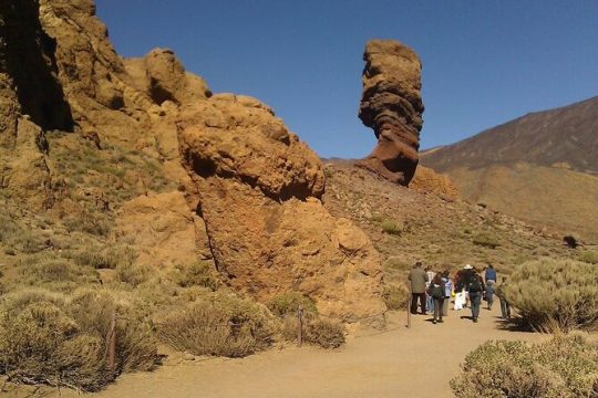 Volcano Teide National Park Shared Tour from Costa Adeje Los Cristianos Tenerife