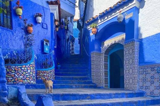 Morocco in Private: Tangier and The Blue Chefchaouen in one day