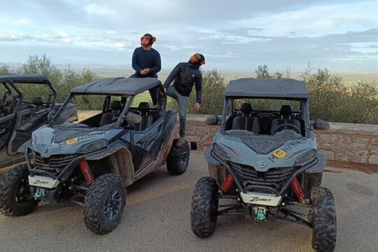 Buggy tour through Beaches and Viewpoints.