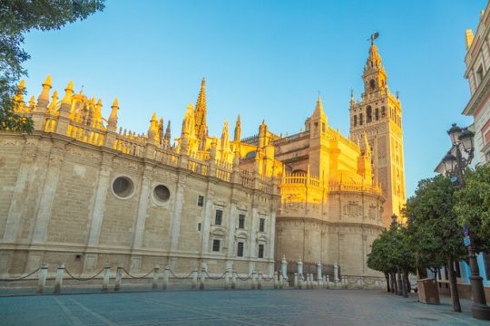 Guided walking tour of the Seville Cathedral