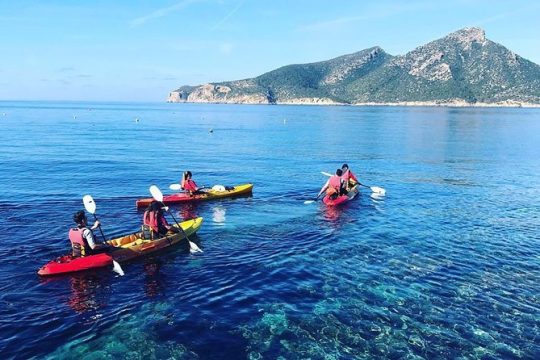 Explore the island of Dragonera by kayak and on foot